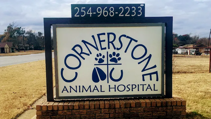 Cornerstone Animal Hospital Picture 10