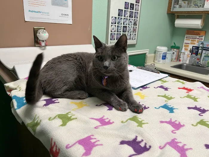 River North Small Animal Hospital Picture 6