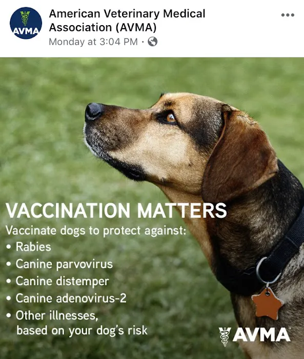 Brink Veterinary Service Picture 3
