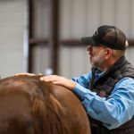Signature Equine Hospital