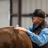 Signature Equine Hospital ico