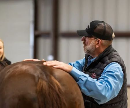Signature Equine Hospital