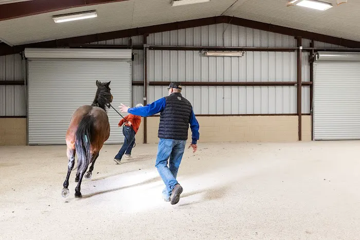 Signature Equine Hospital Picture 6