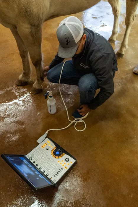 Signature Equine Hospital Picture 7