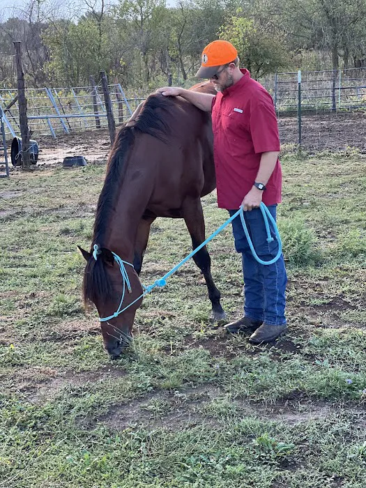Signature Equine Hospital Picture 9