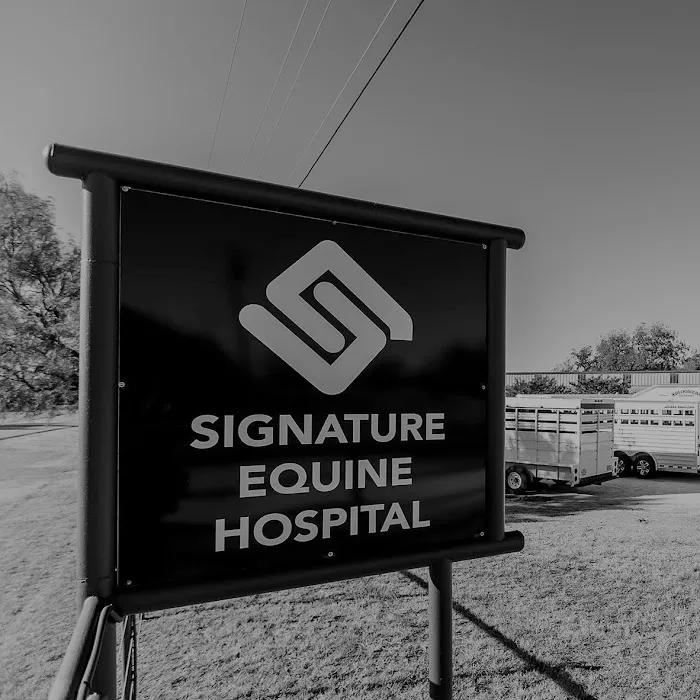 Signature Equine Hospital Picture 8
