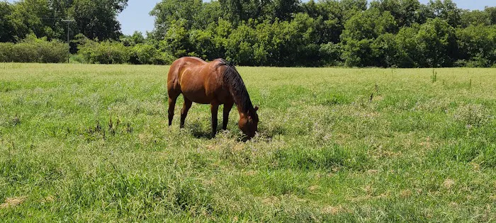 Signature Equine Hospital Picture 10