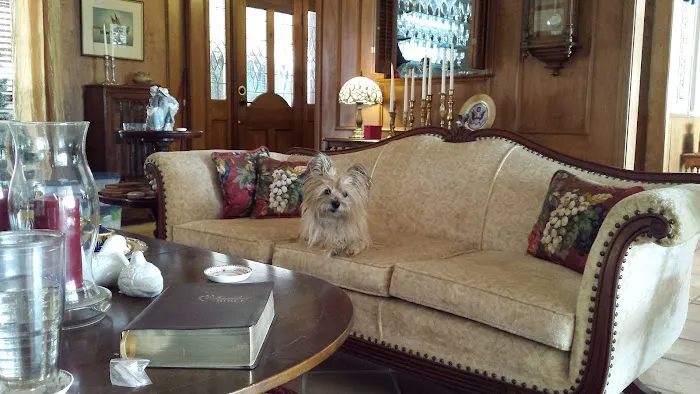Bonham Veterinary Clinic Picture 1