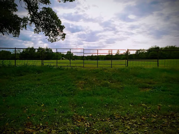 Hayes Equine Vet Services Picture 1