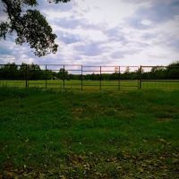 Hayes Equine Vet Services ico