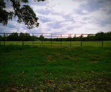 Hayes Equine Vet Services