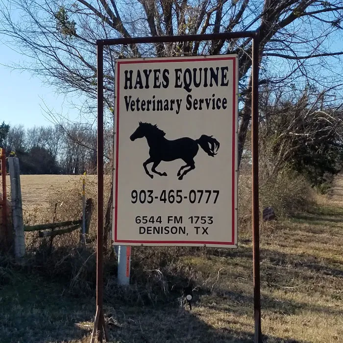 Hayes Equine Vet Services Picture 3
