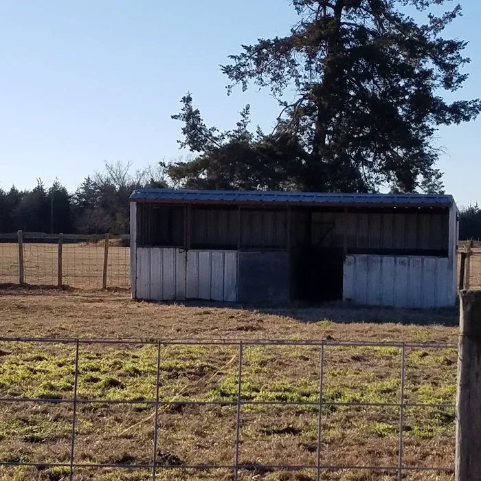 Hayes Equine Vet Services Picture 4