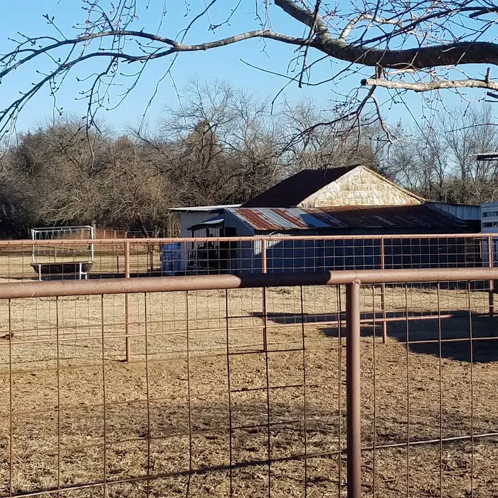 Hayes Equine Vet Services Picture 6