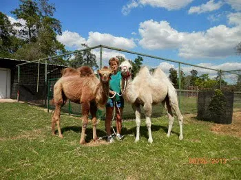 Tri Lakes Veterinary Clinic Picture 3
