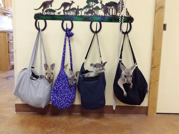 Tri Lakes Veterinary Clinic Picture 6