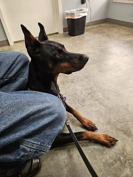 Tyler Animal Emergency Hospital Picture 5