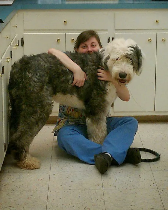 Tyler Animal Emergency Hospital Picture 10