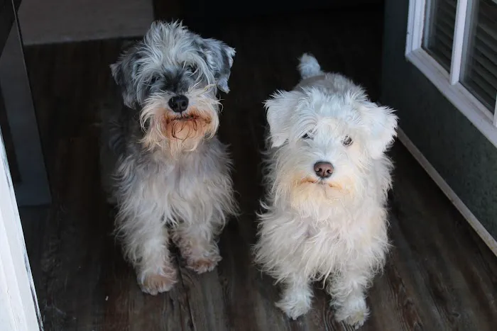 South Tyler Animal Clinic Picture 8