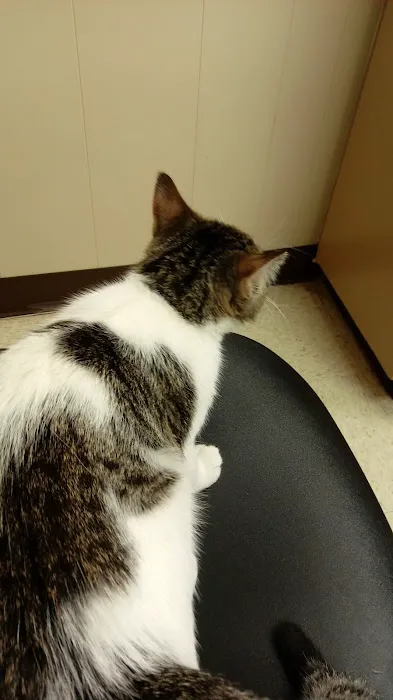 Shelley Drive Animal Clinic Picture 2