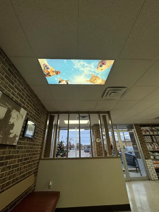 Shelley Drive Animal Clinic Picture 4