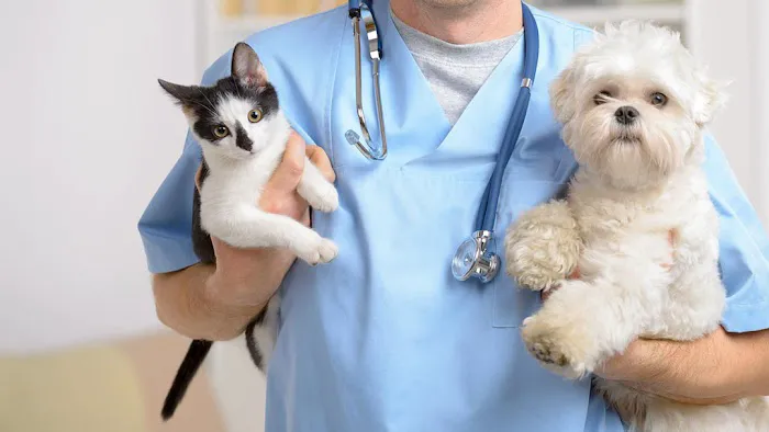Pet Veterinary Clinic Picture 2