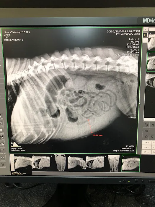 Pet Veterinary Clinic Picture 5