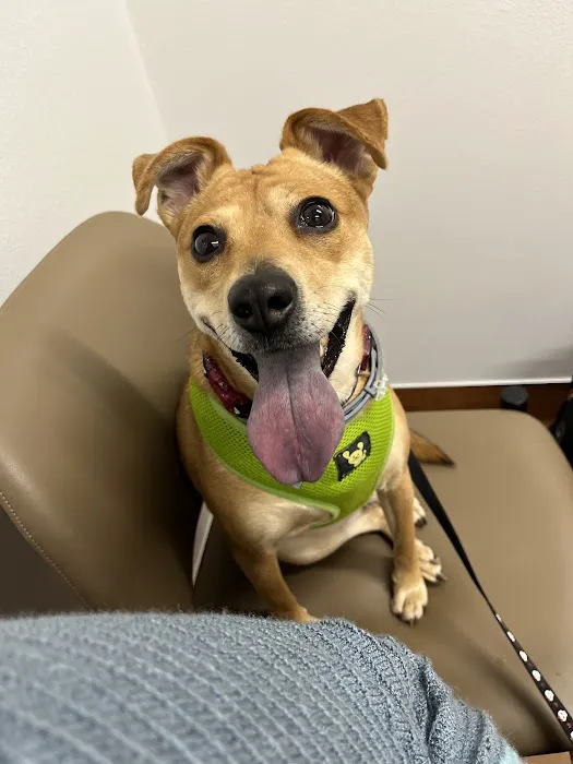 Rose City Animal Clinic Picture 1
