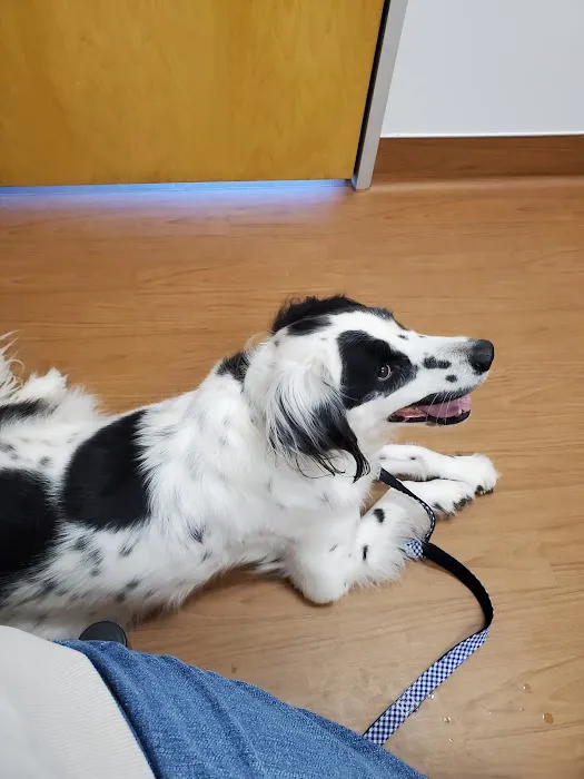 Rose City Animal Clinic Picture 5
