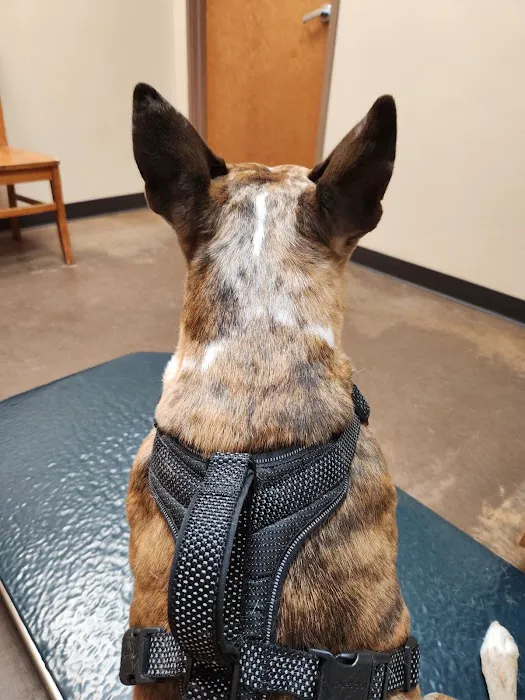 Athens Animal Clinic Picture 1