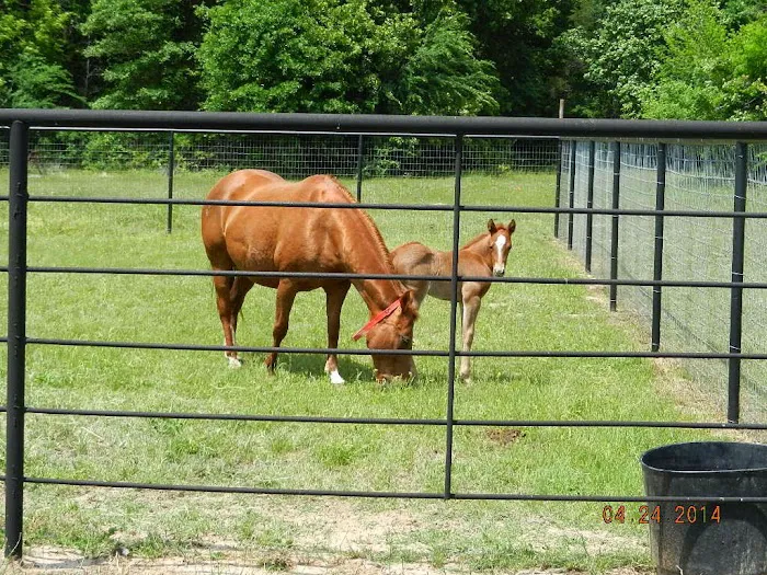 Adcock Veterinary Service Picture 5