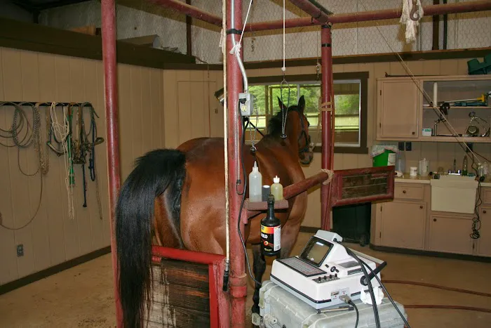 Adcock Veterinary Service Picture 7
