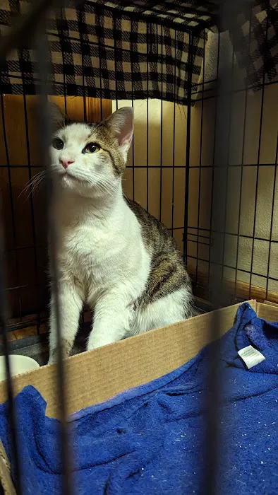 Flint Veterinary Clinic Picture 5