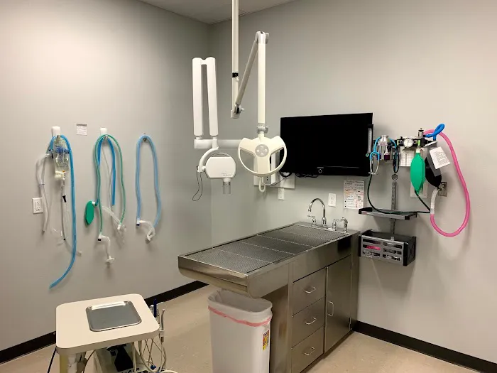Premier Veterinary Hospital Picture 4
