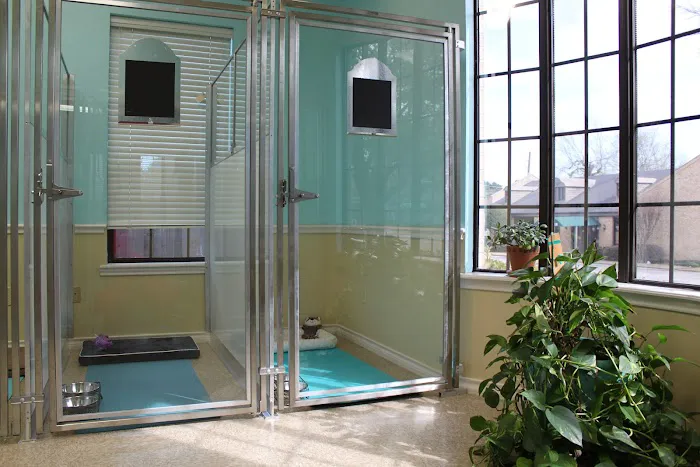 Premier Veterinary Hospital Picture 7