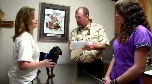 Our Family Vet - Bullard Picture 3