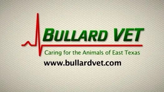 Our Family Vet - Bullard Picture 5