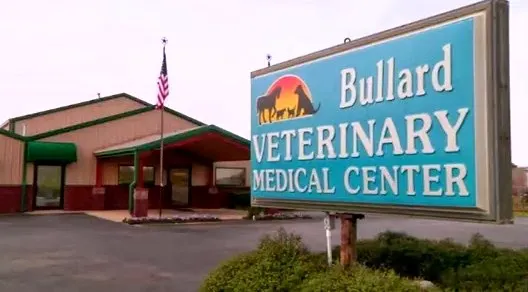 Our Family Vet - Bullard Picture 4