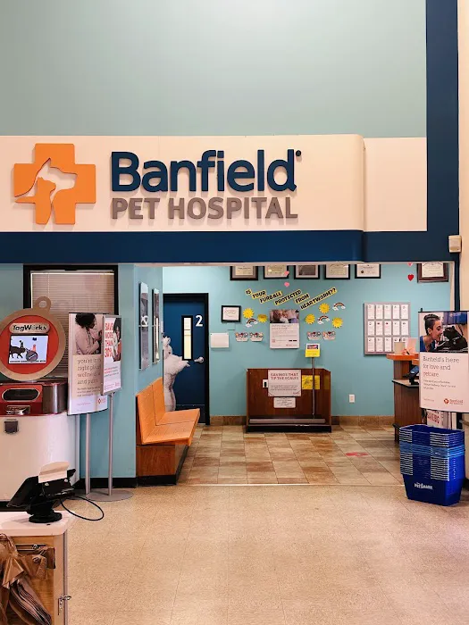 Banfield Pet Hospital Picture 5
