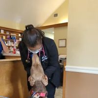 Copeland Road Animal Hospital ico