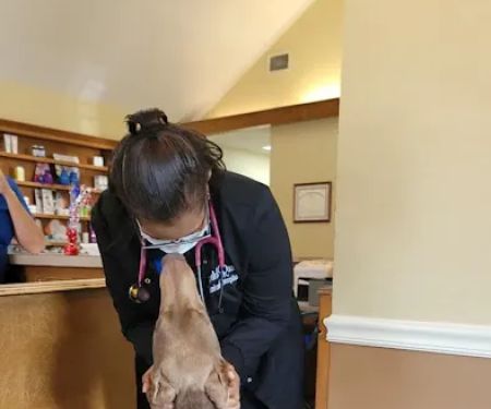 Copeland Road Animal Hospital