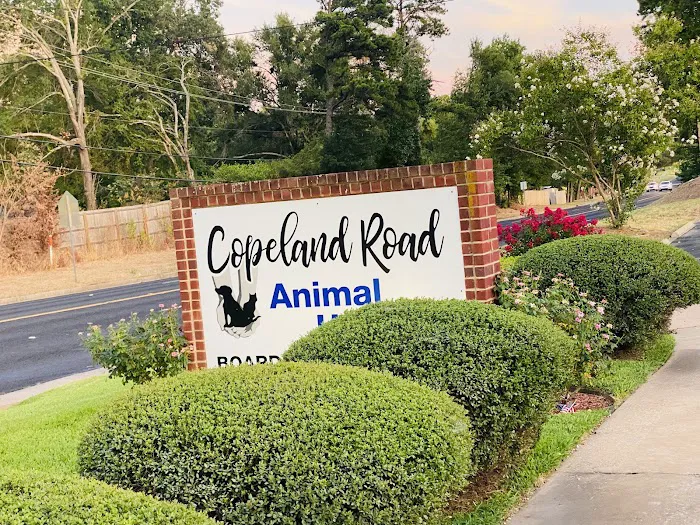 Copeland Road Animal Hospital Picture 7