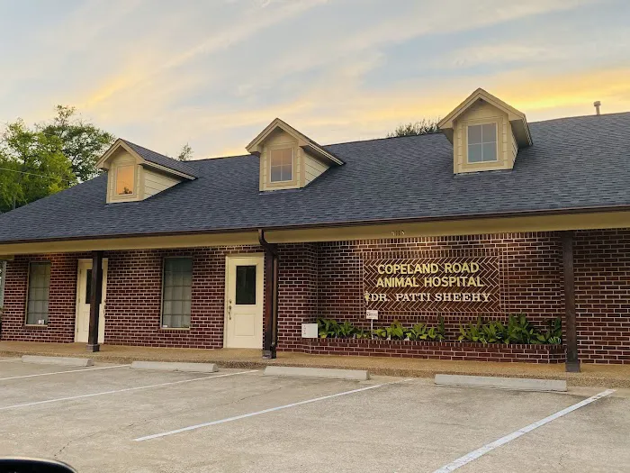 Copeland Road Animal Hospital Picture 6