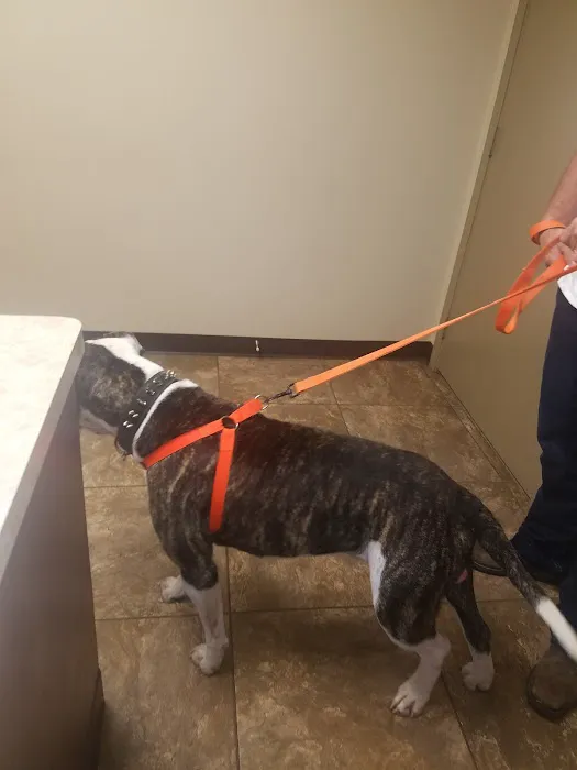 Spencer Veterinary Services Picture 4