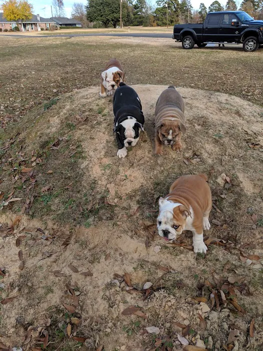 Spencer Veterinary Services Picture 9