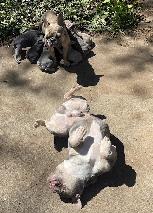 Spencer Veterinary Services Picture 10