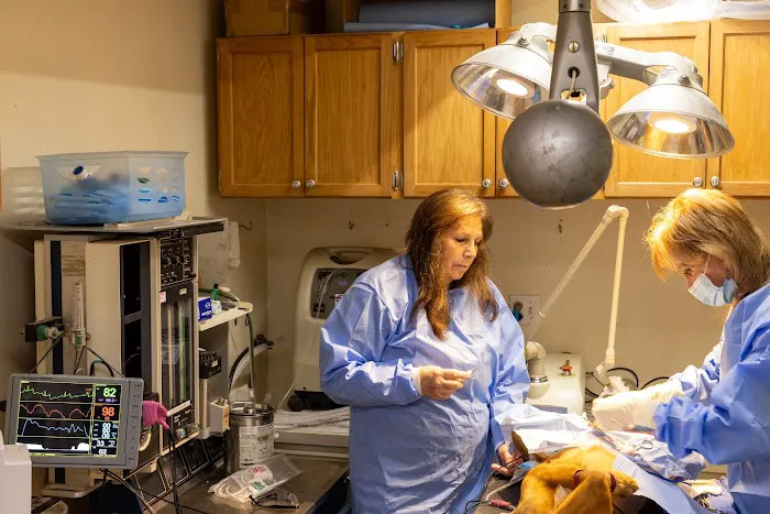 Animal Medical & Surgical Hospital Picture 1