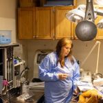 Animal Medical & Surgical Hospital