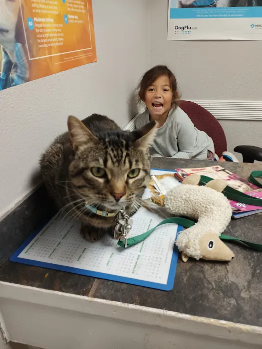 Animal Medical & Surgical Hospital Picture 4