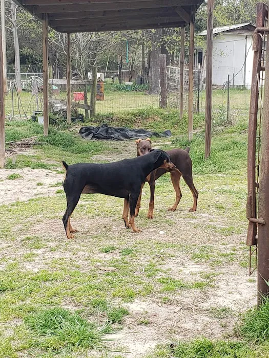 Animal Medical & Surgical Hospital Picture 6